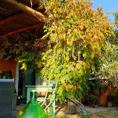 Il Cantuccio-3