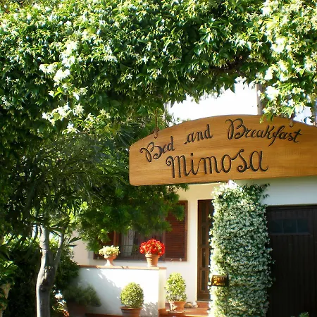 Bed And Breakfast Mimosa-3